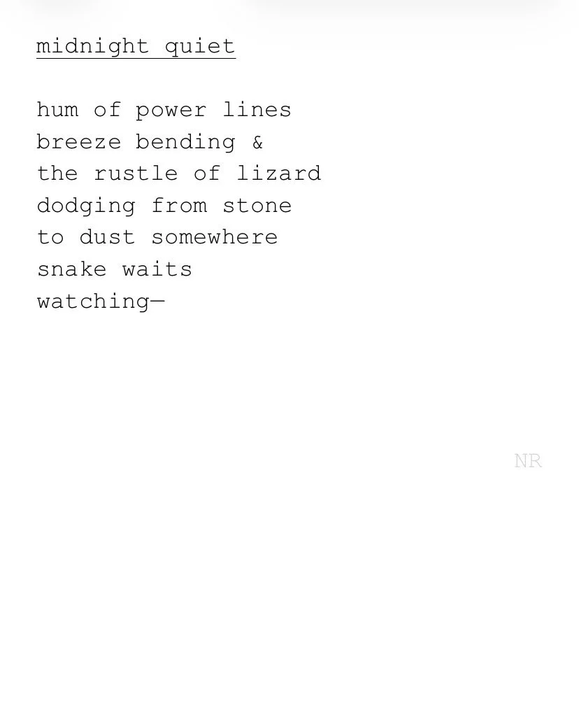 day 489: midnight quiet