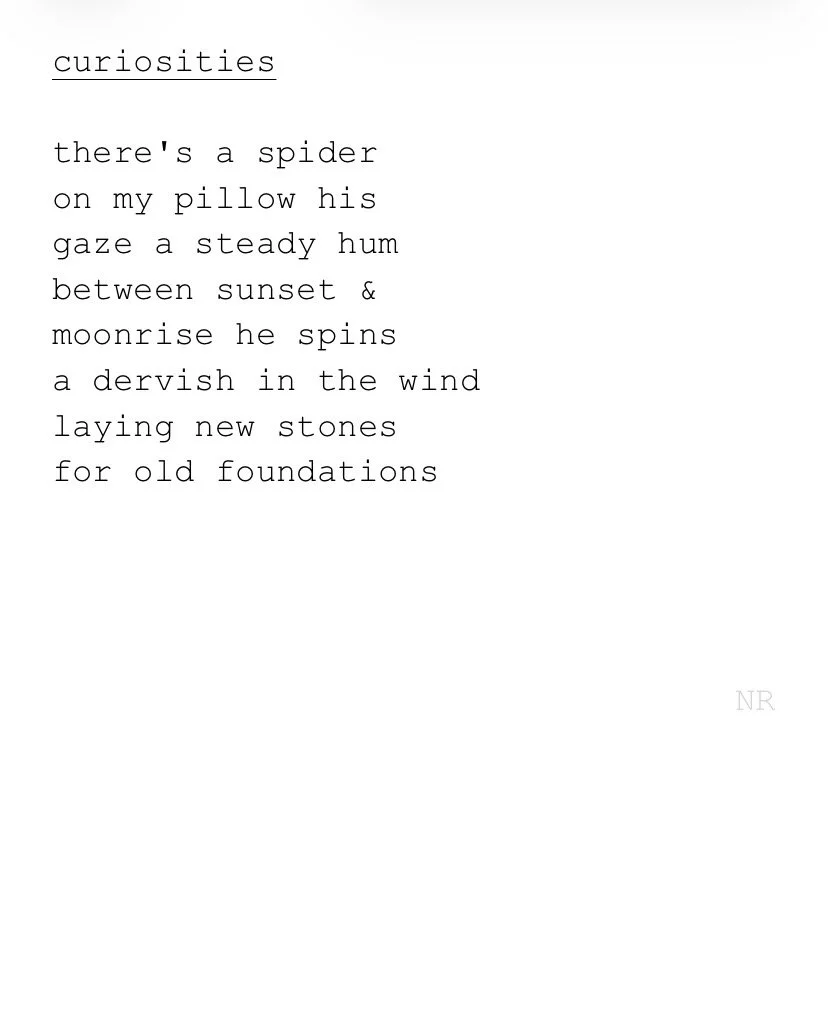 day 495: curiosities