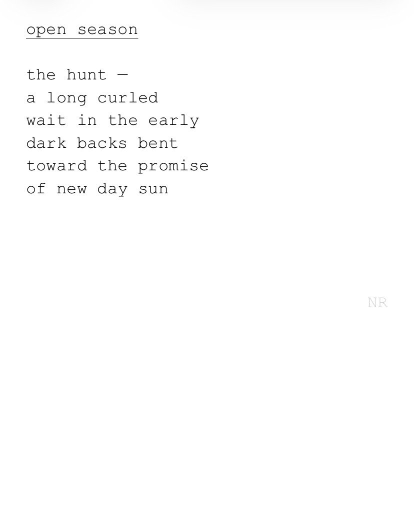 day 503: open season