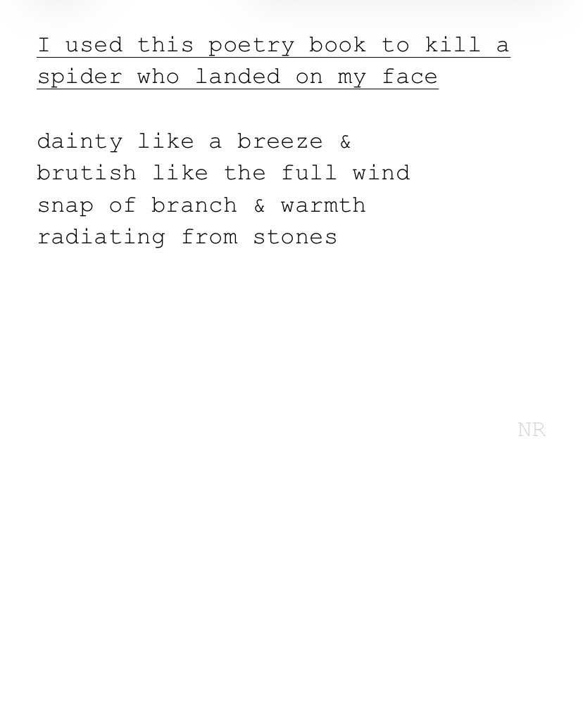 day 510: I used this poetry book to kill a spider who landed on my face