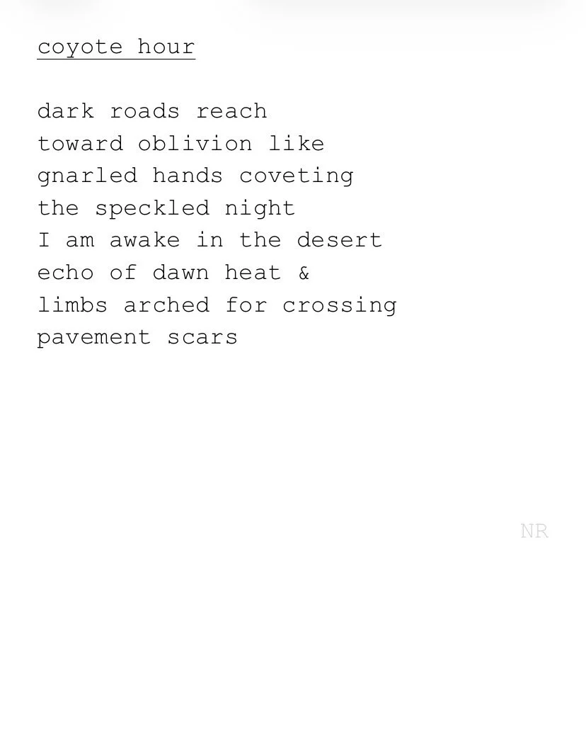 day 519: coyote hour