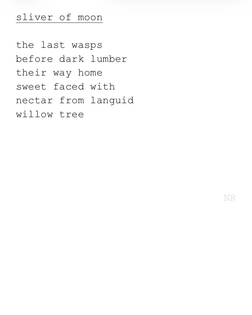 day 521: sliver of moon 