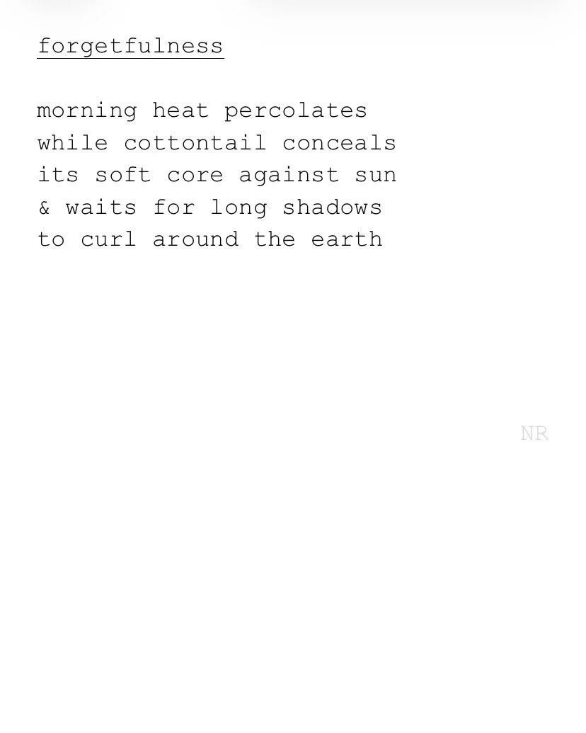 day 532: forgetfulness