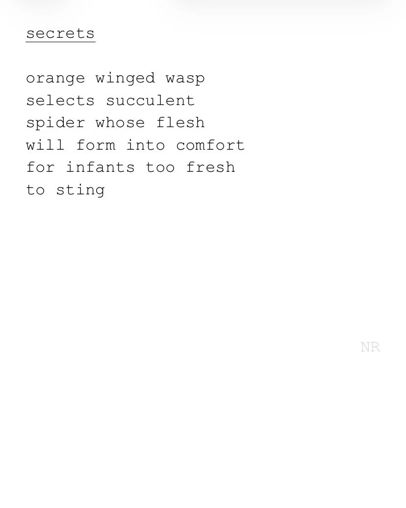 day 535: secrets