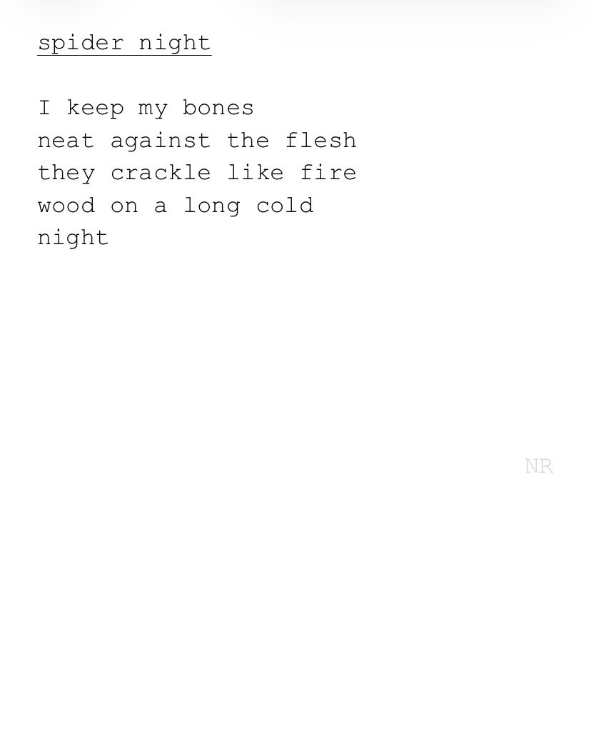 day 536: spider night