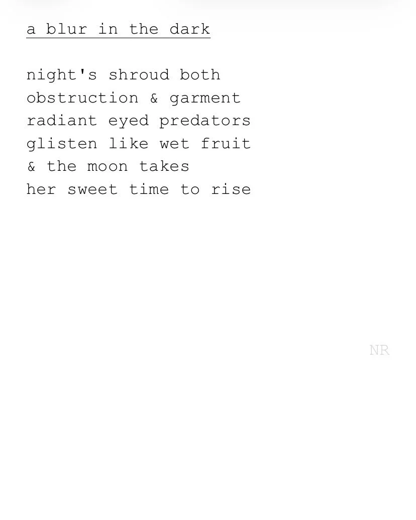 day 539: a blur in the dark