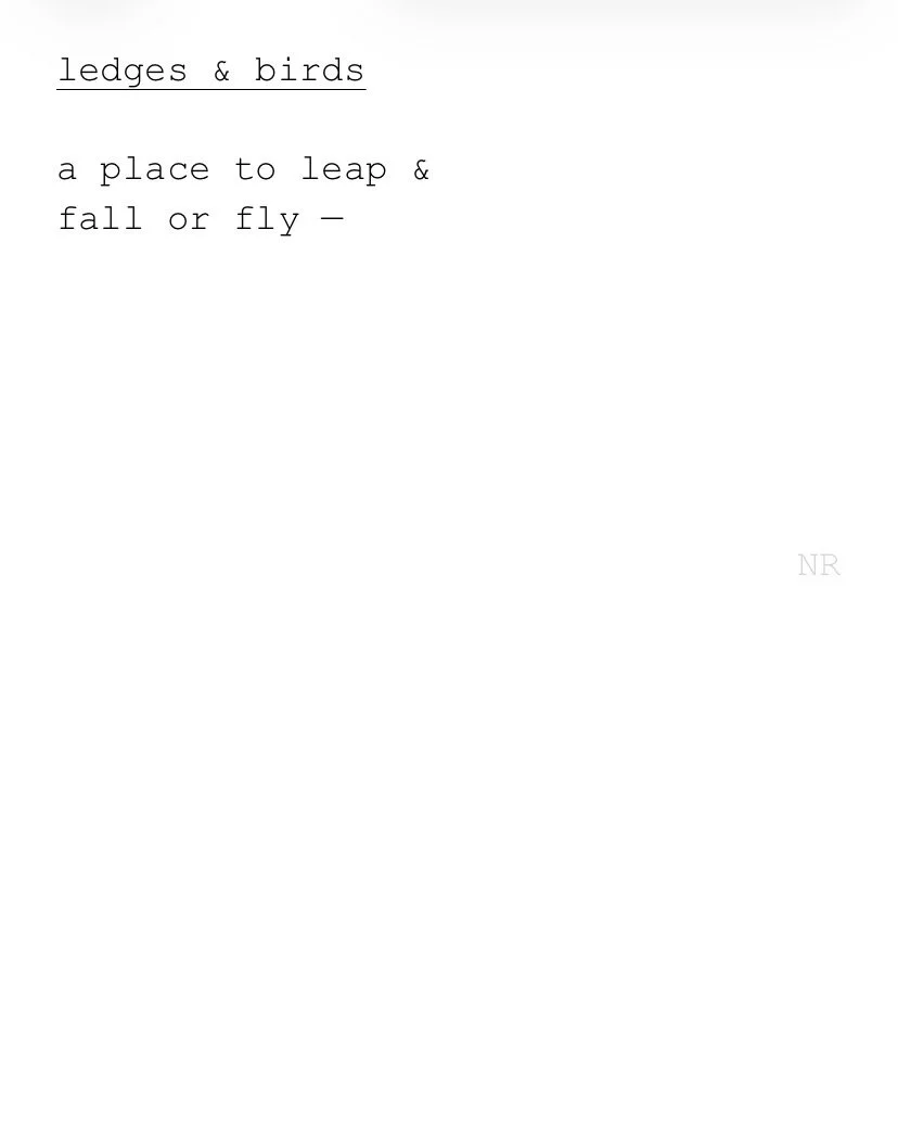 day 545: ledges & birds
