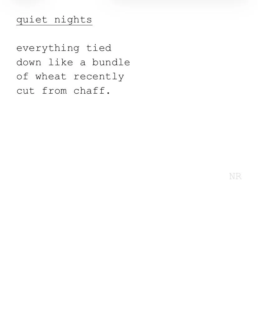 day 551: quiet nights