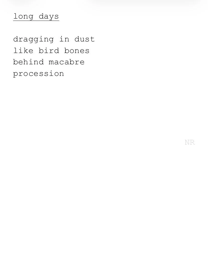 day 560: long days