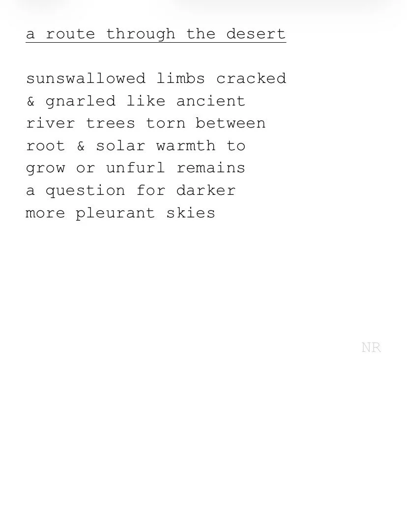 day 563: a route through the desert
