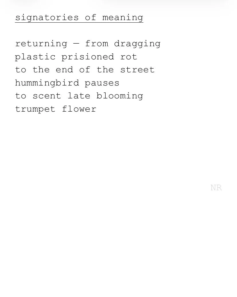 day 567: signatories of meaning