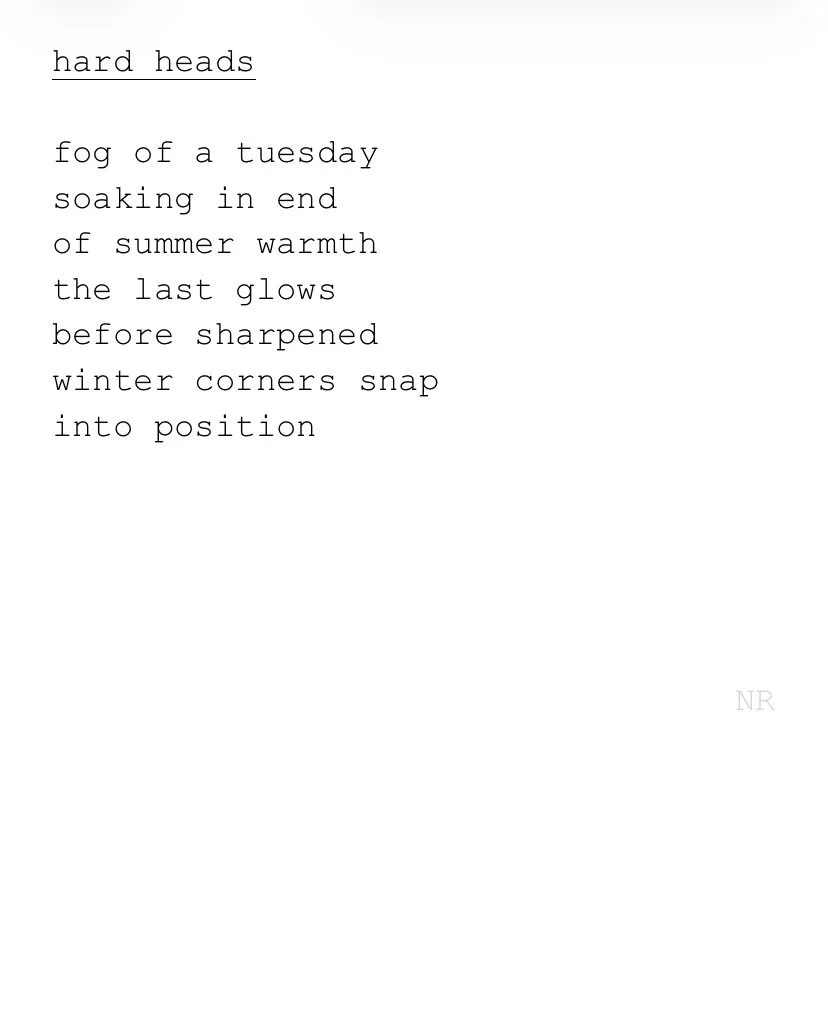 day 572: hard heads