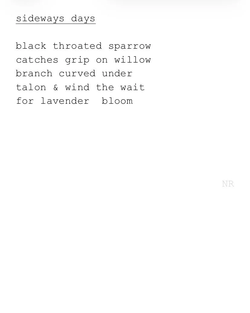 day 576: sideways days