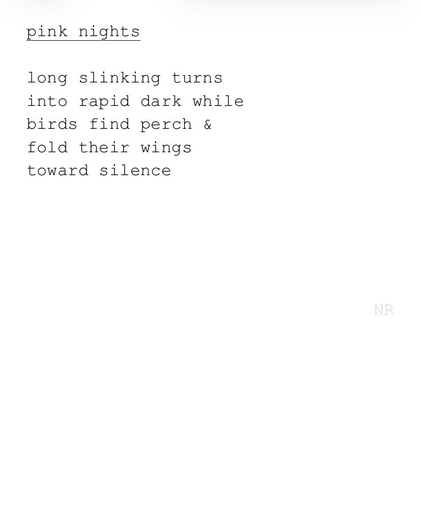 day 581: pink nights