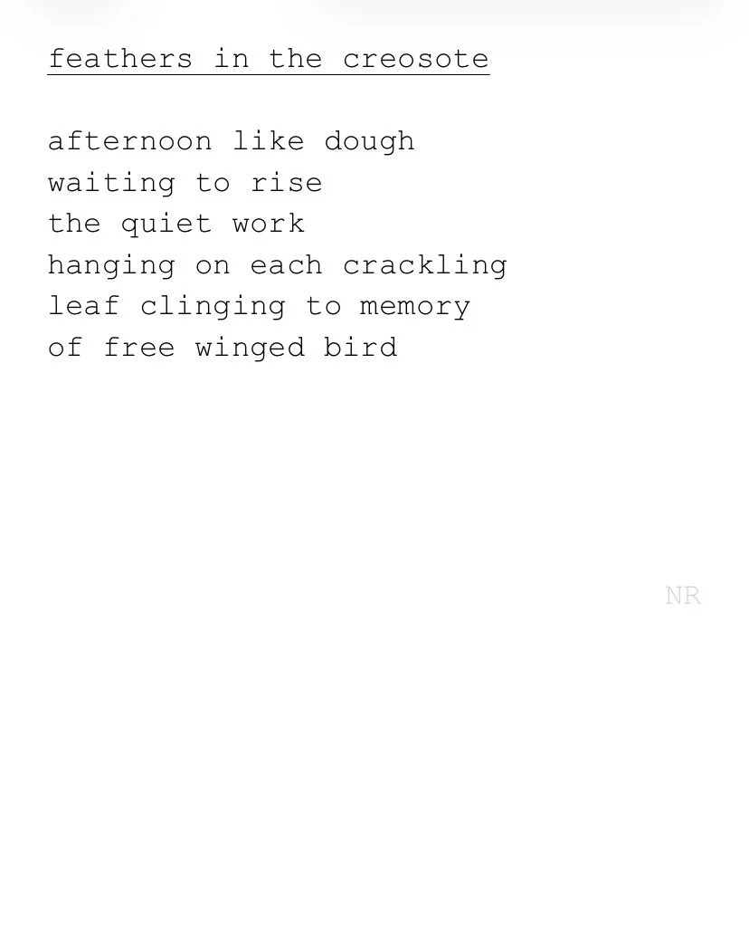 day 582: feathers in the creosote