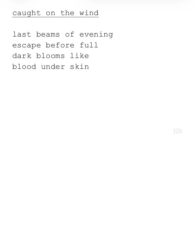 day 583: caught on the wind