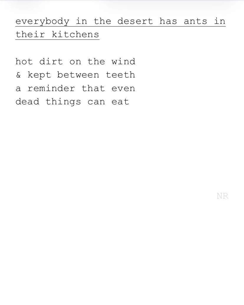 day 604: everybody in the desert has ants in their kitchens