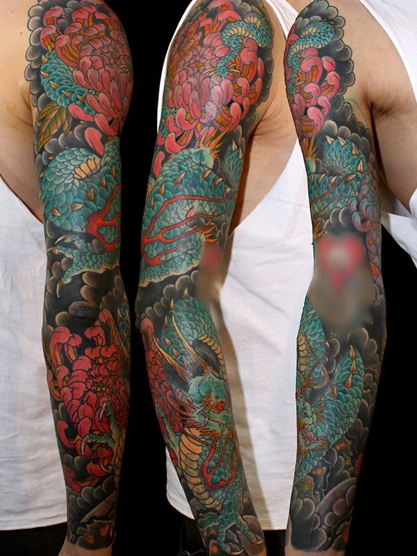 DragonSleeveWEB600x800.jpg