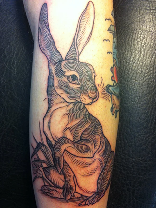 rabbit600x800.jpg