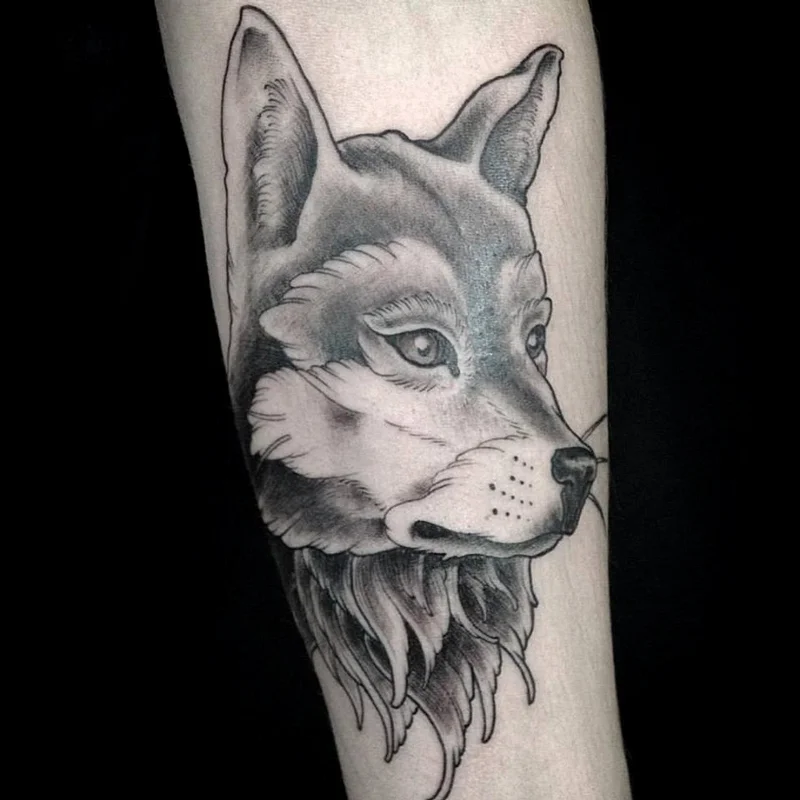 Fuchs-WEB.jpg