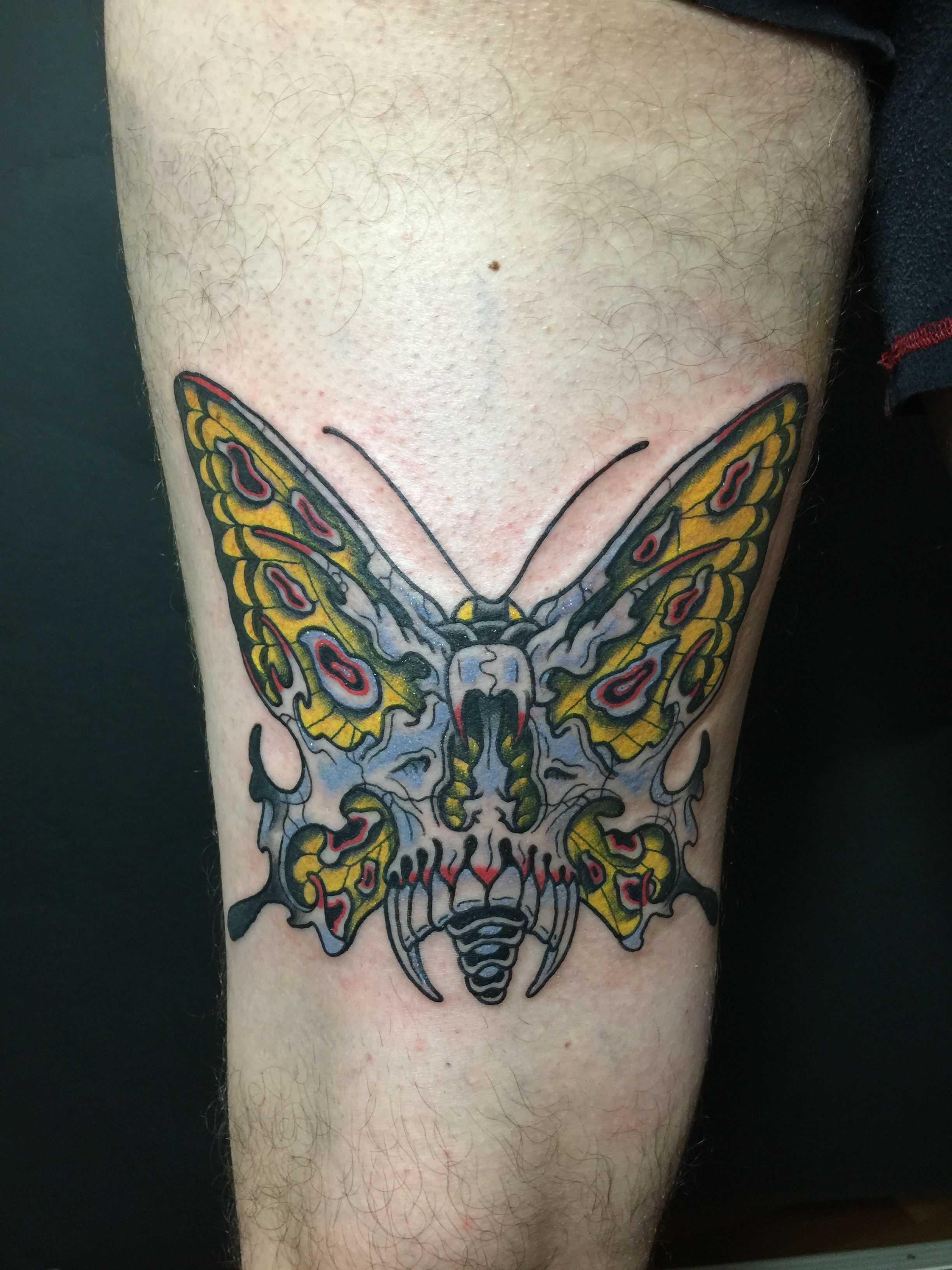 BernhardMitteregger_ViennaElectricTattoo10.jpeg