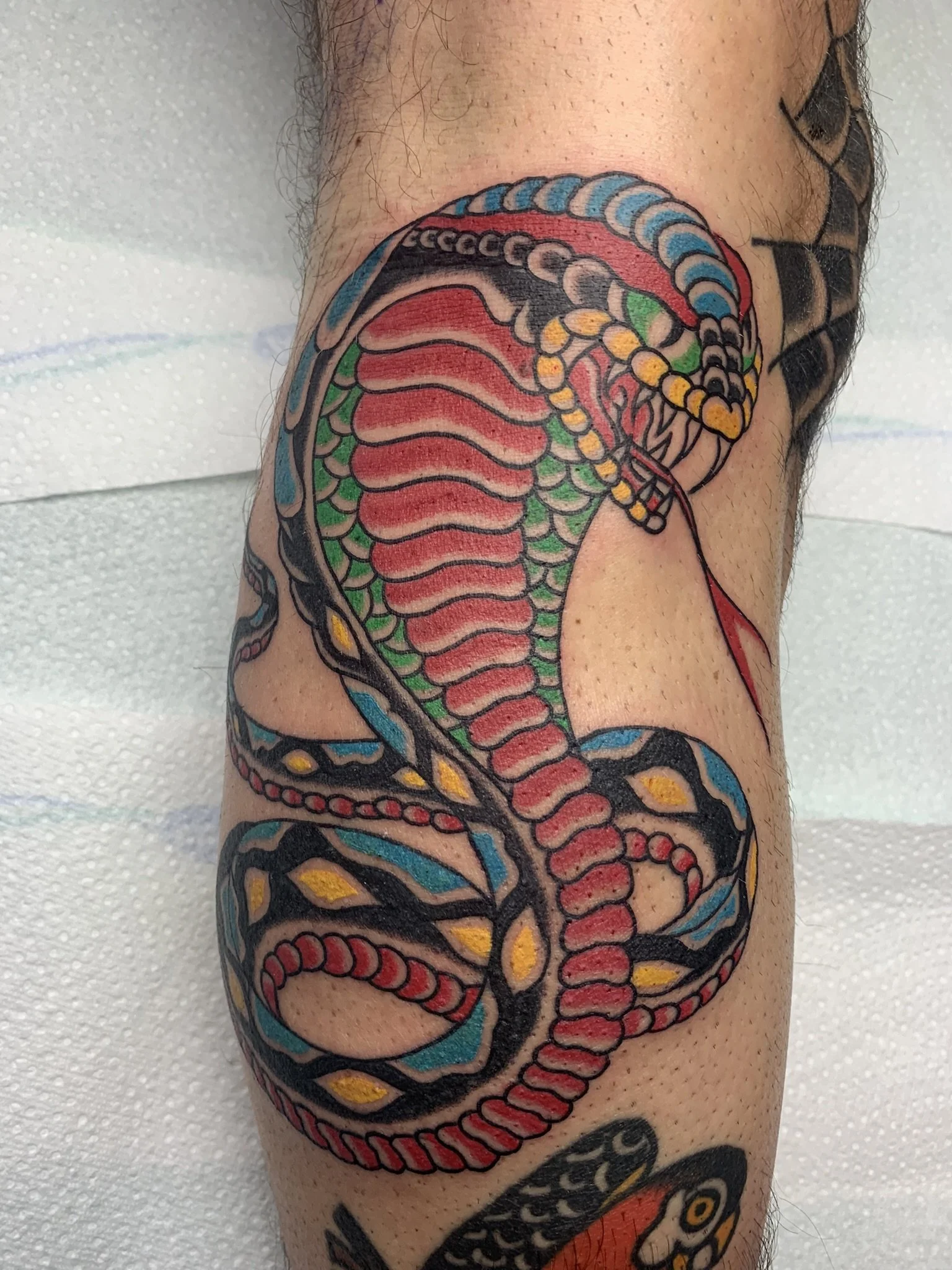 MikeMoneyz_TraditionalTattoo_ViennaElectricTattoo_snake1.jpeg