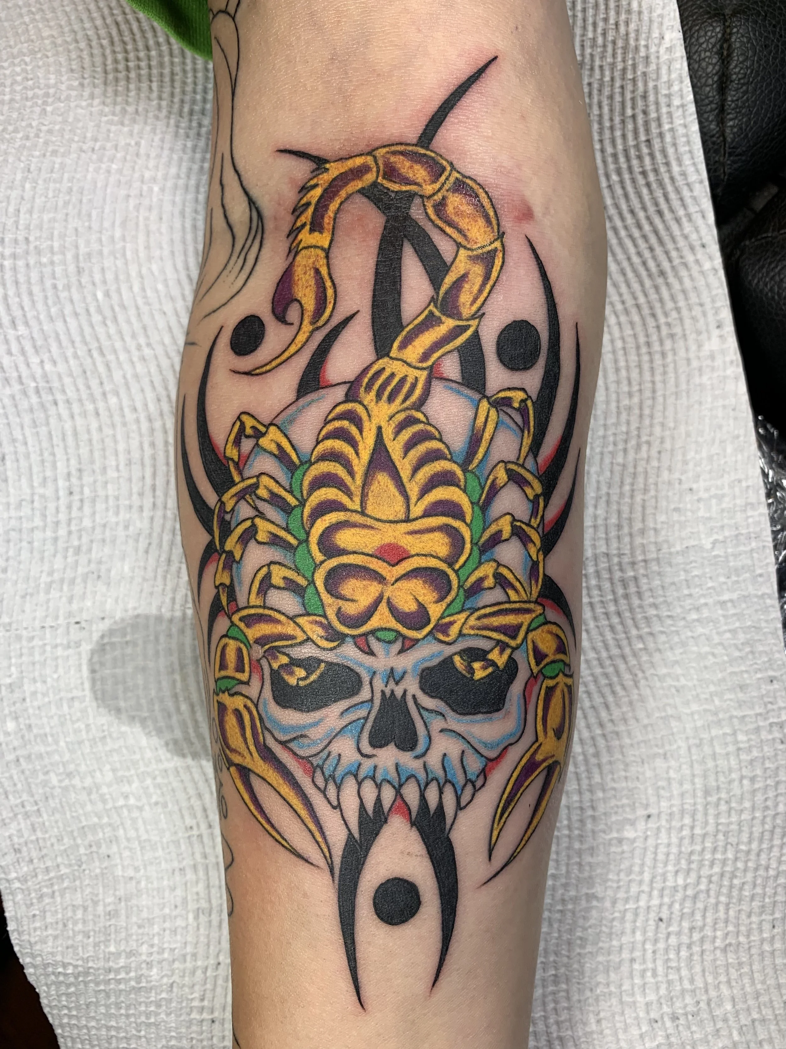 MikeMoneyz_TraditionalTattoo_ViennaElectricTattoo_SkullScorpio.jpeg