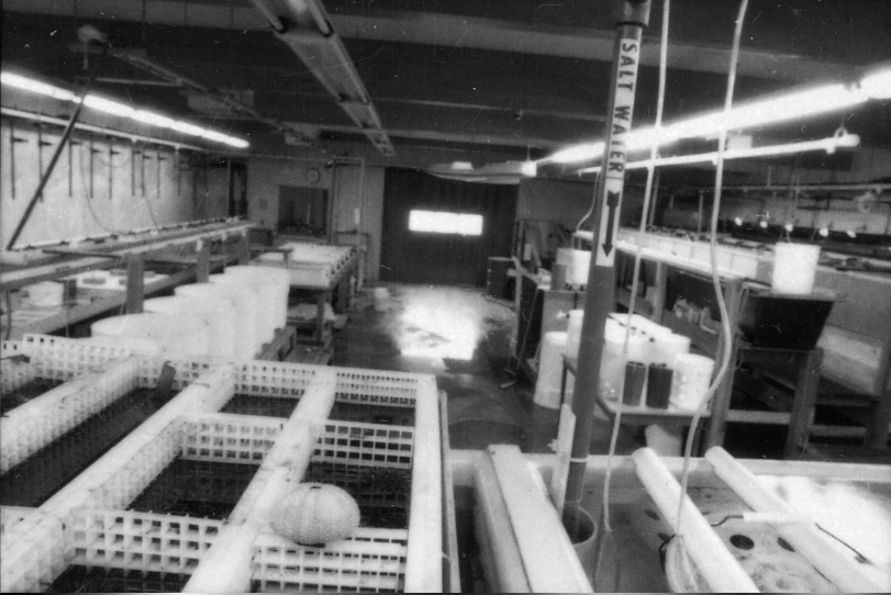 The original wet lab in the early days. Photo: HSU