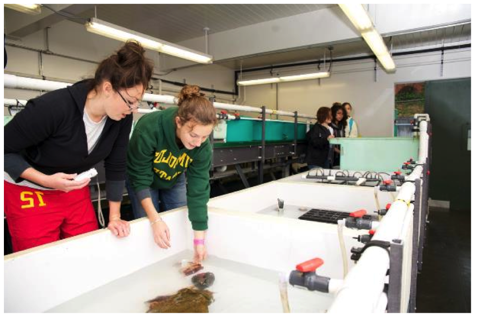 The wet lab as it looks today. Photo: HSU.