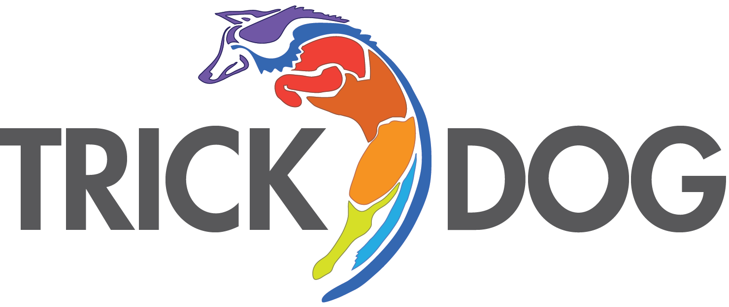 DMWYD Trick Logo.png