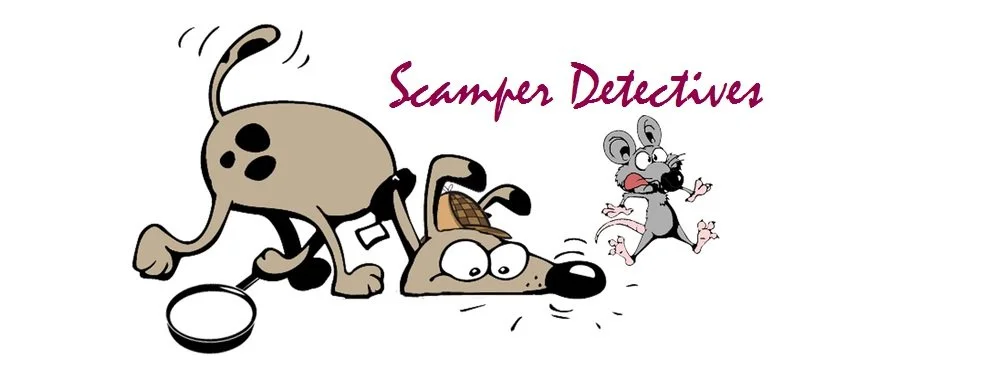 Scamper Detectives Barn Hunt Trial