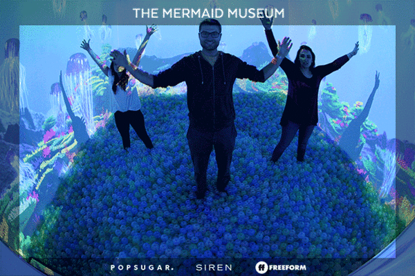 Siren_00001-M.gif