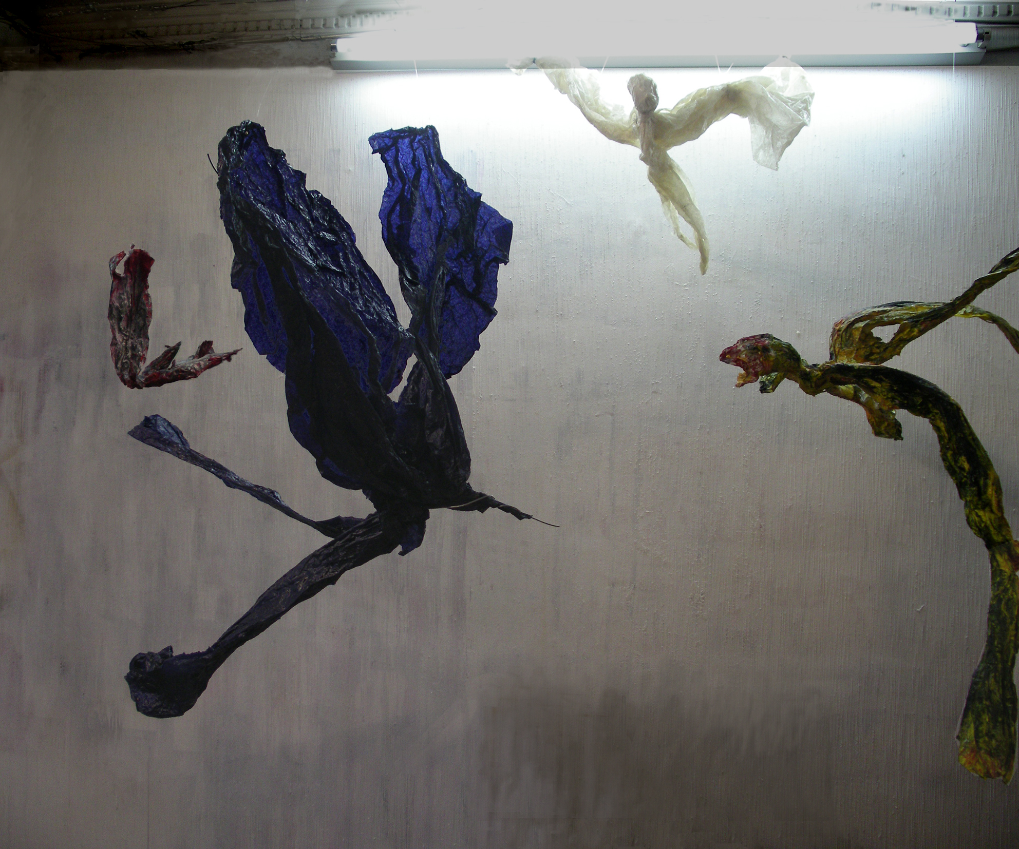 Combat d'oiseaux.jpg