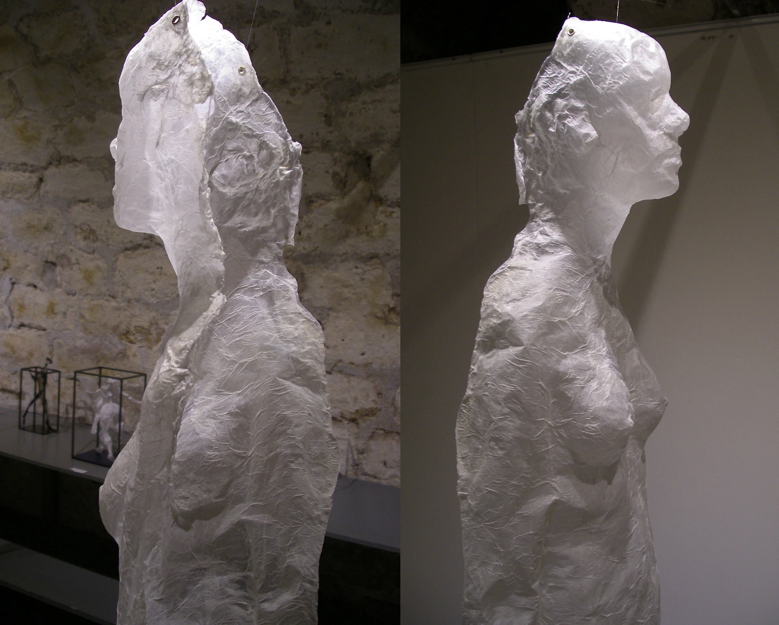 Mue d'Aphrodite dos et profil.jpg