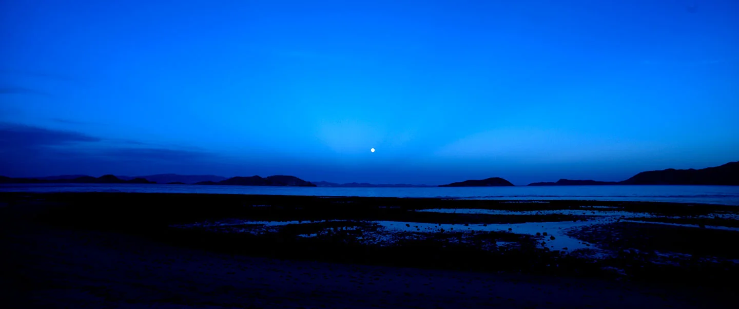 DSC_8863.jpg