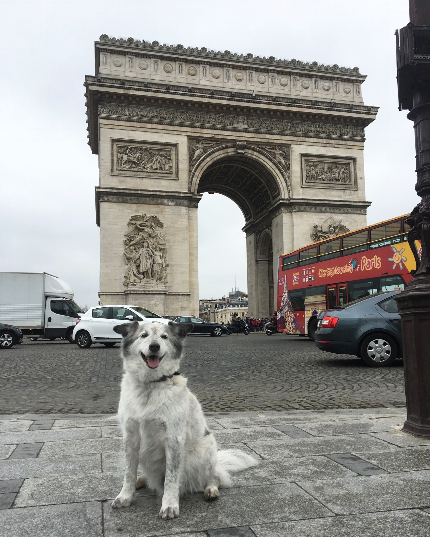 Traveling with a dog in Europe — Rachel Nordgren