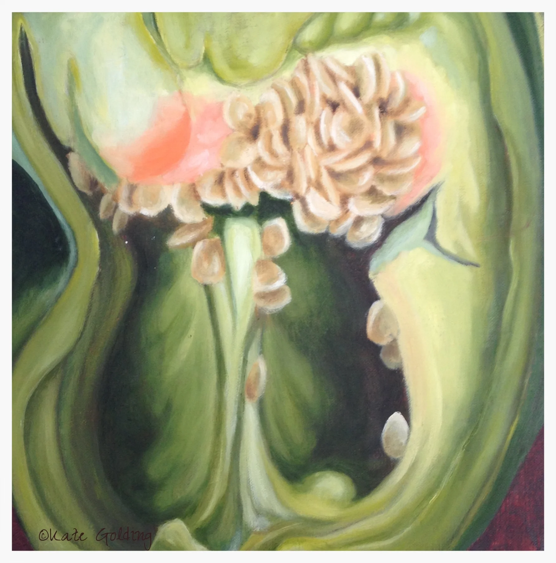   Private Collection. NFS.  