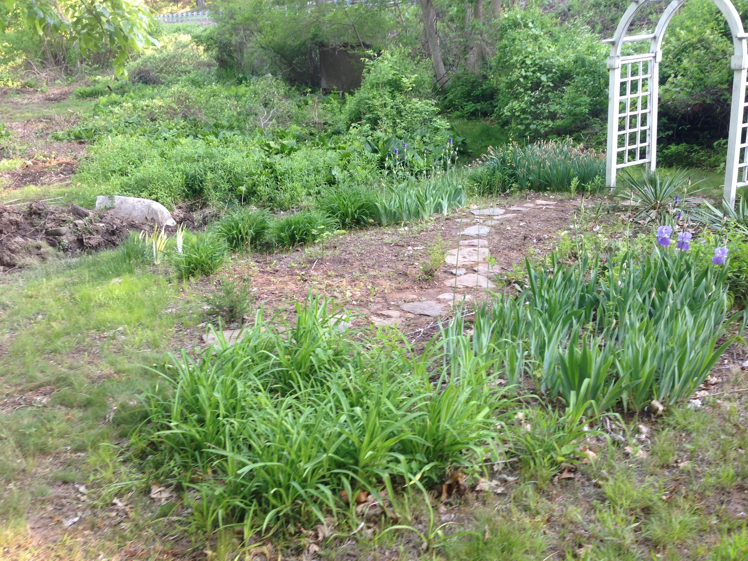 flower.garden.jpg