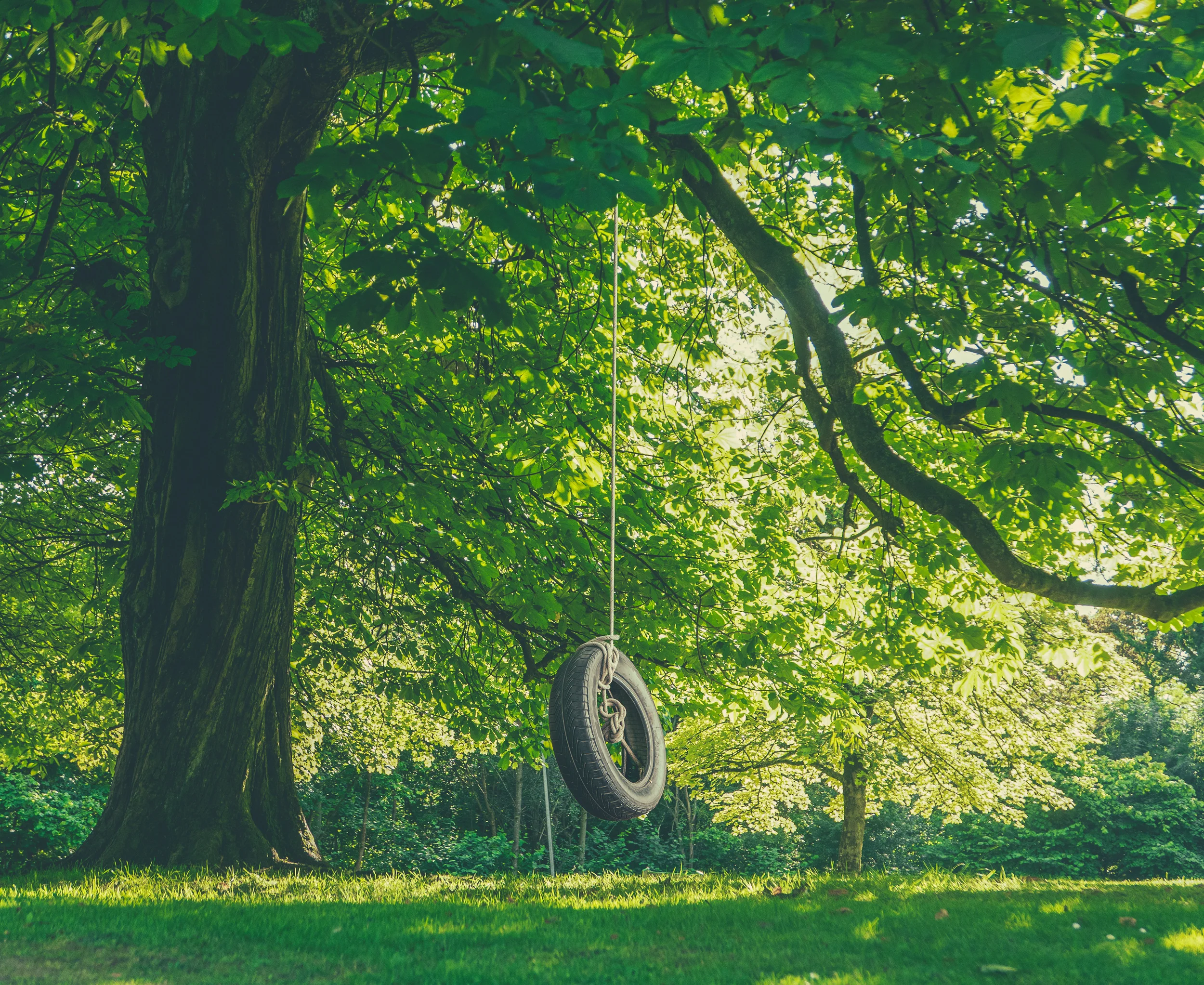 AdobeStock_106130161.jpeg