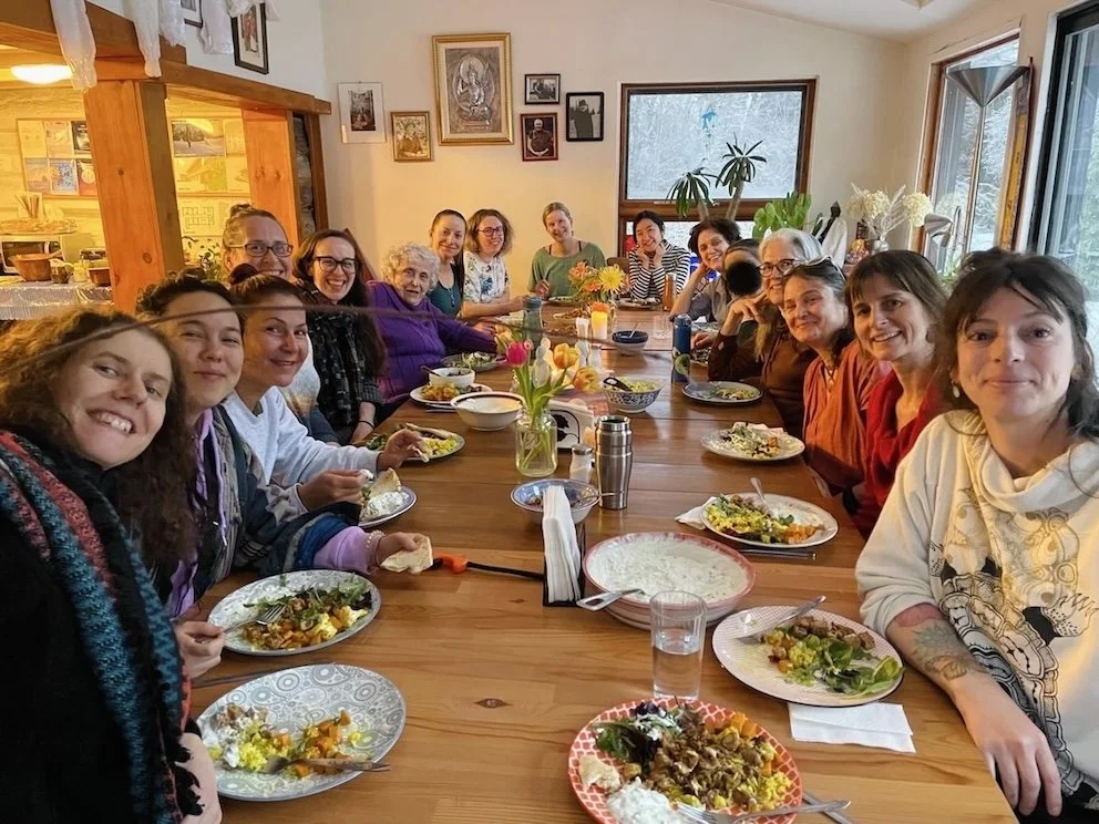 Cohort 1 - Newsletter.jpg