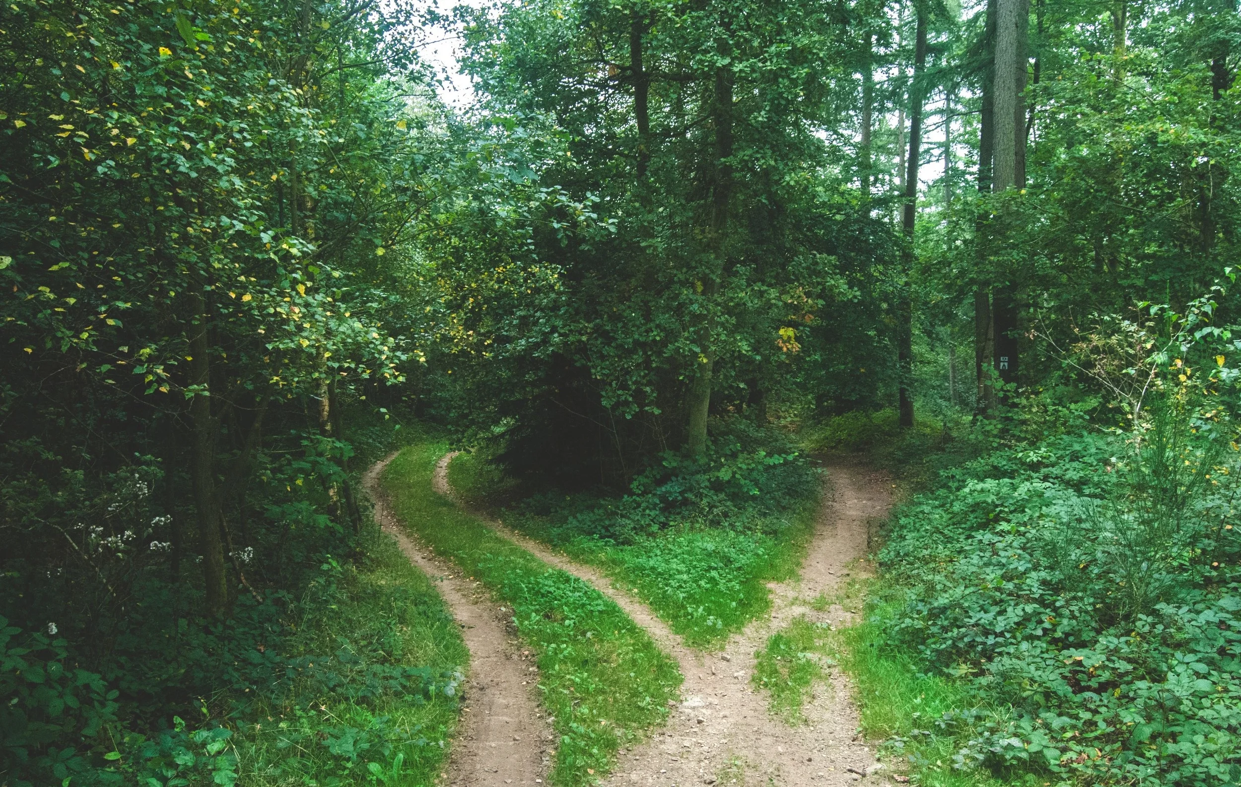 jens-lelie-15662-unsplash.jpg