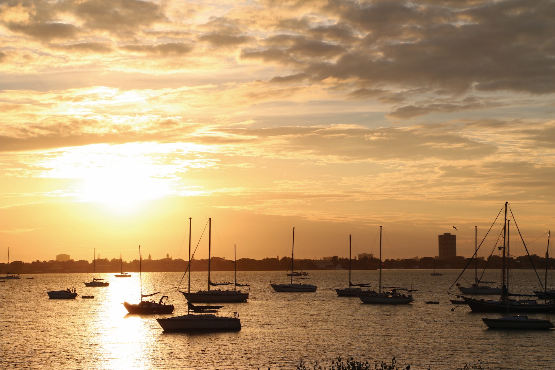 Sarasota Bay with boats in harbor.jpg