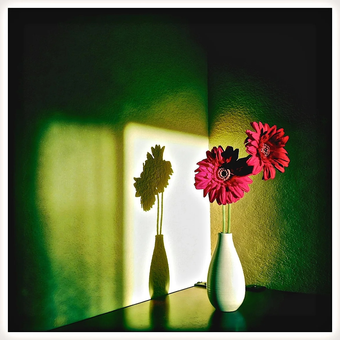 Red Flower Still Life