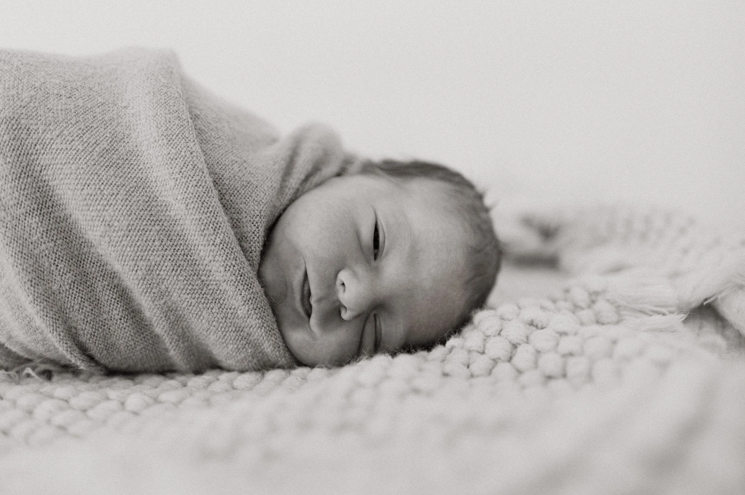 01242025_Ortner_Preview_11.jpg
