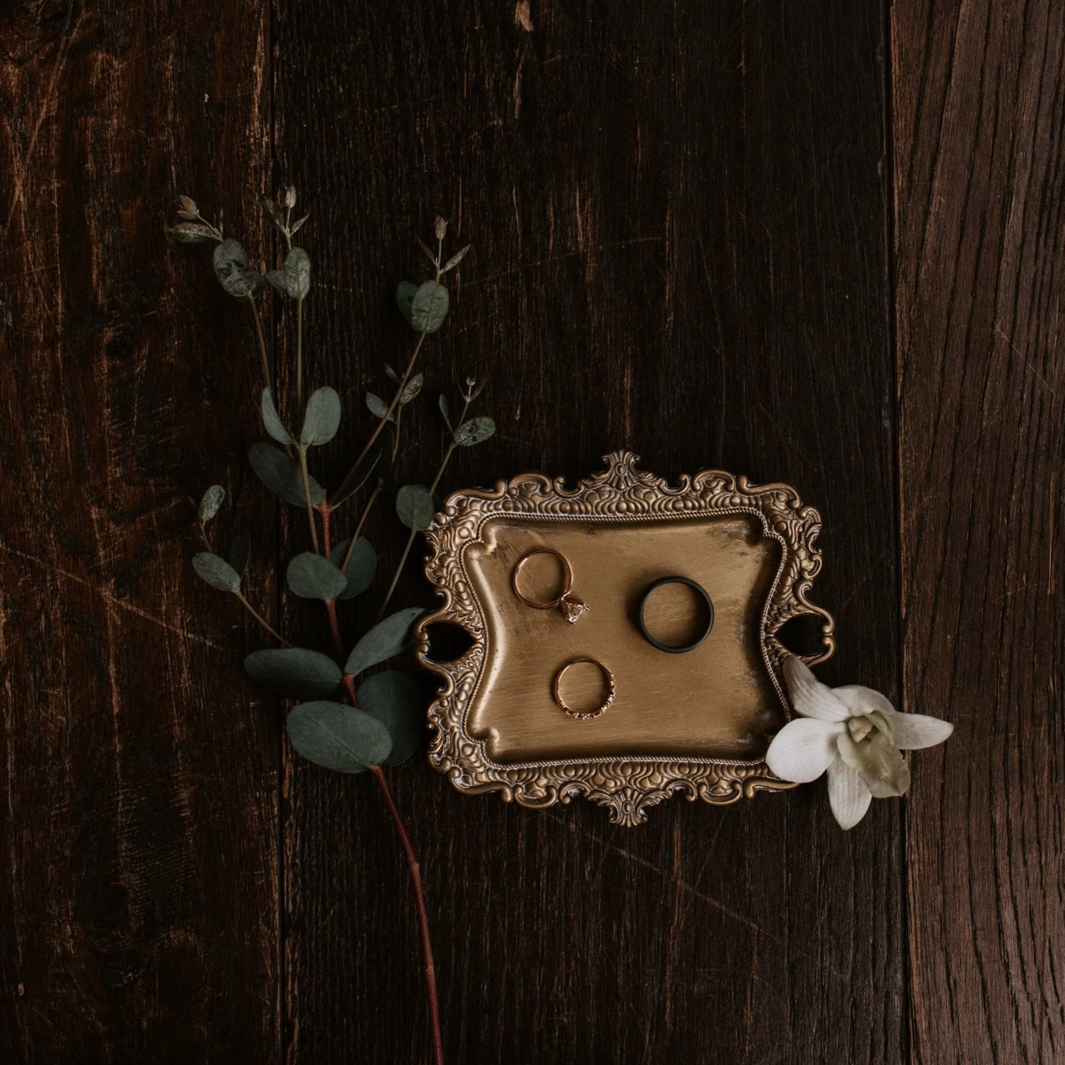 moody details forever 🌿

#milwaukeeweddingphotographer
#wisconsinweddingphotographer
#milwaukeewedding
#wisconsinwedding
#milwaukeebride
