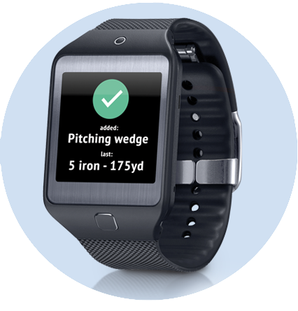 Optional Smartwatch Setup