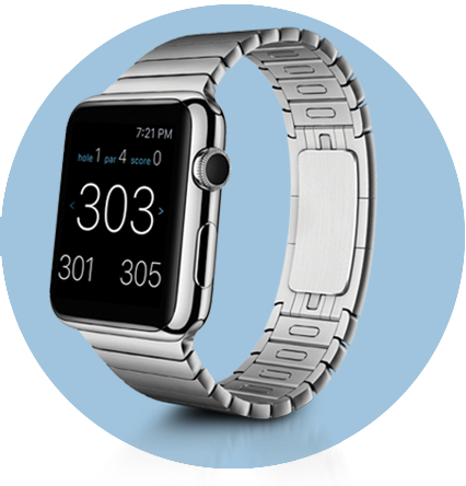 Optional Smartwatch setup