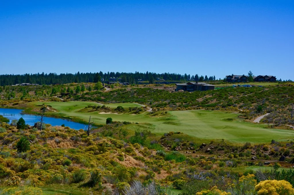 6th hole from the tee