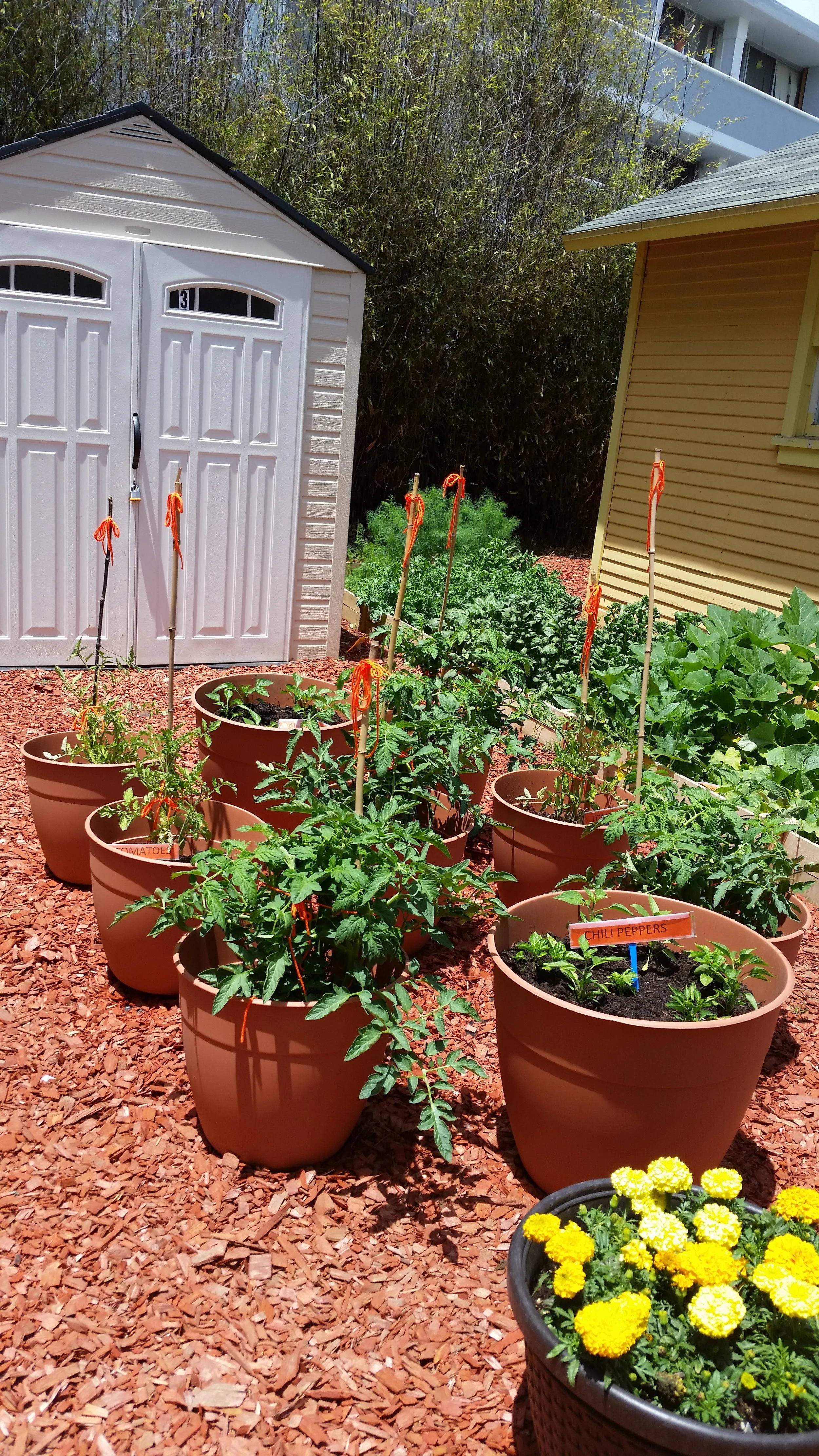 20140529_122540.jpg
