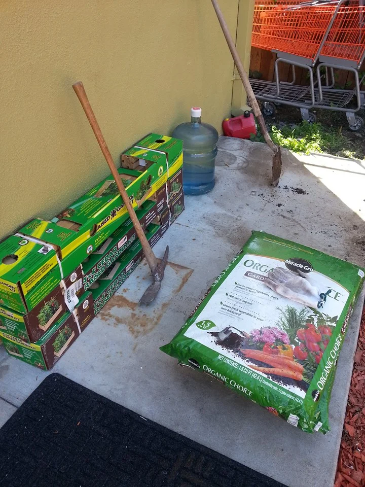 community garden 7.jpg